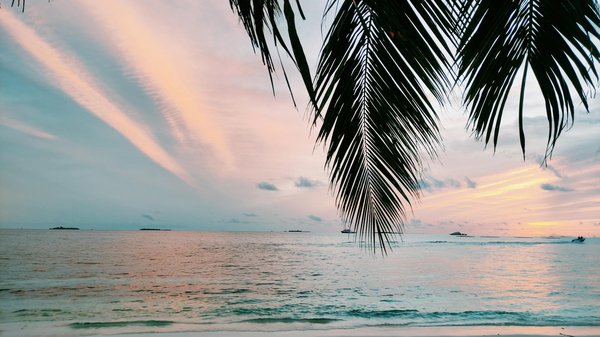 Comment planifier une visite des pyramides de Teotihuacan, Mexique : itinéraires et conseils ?